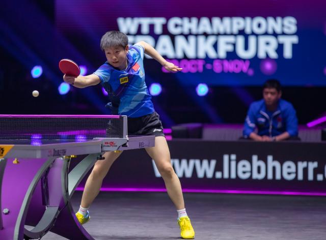 1699071255712086694.jpg 开云-马龙王楚钦晋级四强 孙颖莎王艺迪王曼昱力争会师